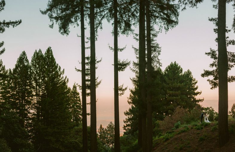 A Destination wedding at the mountain terrace in woodside california by heather elizabeth photography