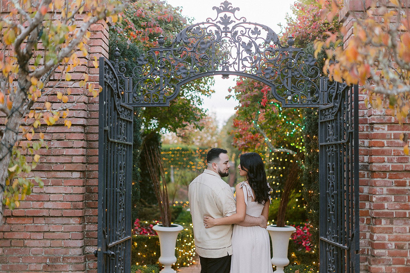 Romantic Filoli Gardens engagement portrait of couple embracing beneath fall leaves